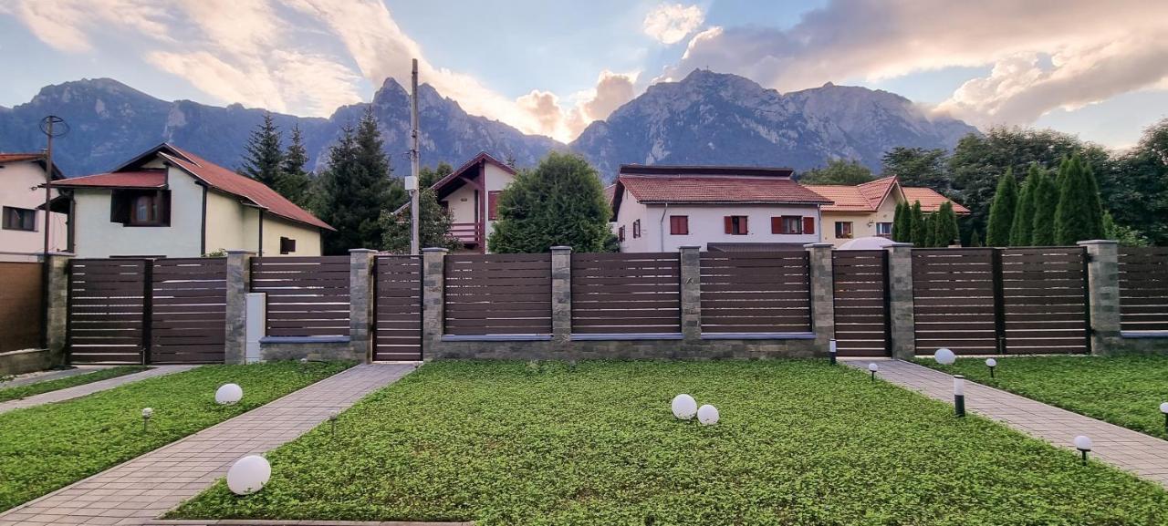 Nova Cervus Hotel Busteni Exterior photo